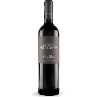 Cecilio Negre - Celler Cecilio (DOQ Priorat)