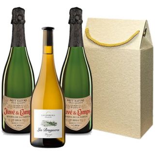 Estuche 3 bot Les Terrasses Vinyes Velles + Decantador (DOQ Priorat)