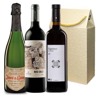Estoig Regal 12 - Juvé Camps i Vins Negres