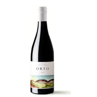 Orto