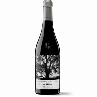 Pago de los Capellanes Finca El Nogal 2021