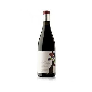 Pétalos del Bierzo 2014 - Descendientes de J. Palacios