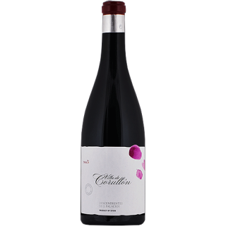 Villa de Corullón 2013 - Descendientes de J. Palacios